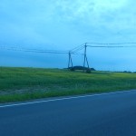 Šalia kelio Mikytai -Tauragė ant elektros laidų šimtai špokų