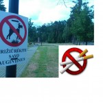 Pagėgių rūkaliams teks būti budriems, miesto parko teritorijos dalyje rūkyti draudžiama