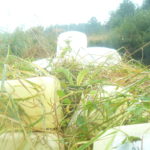 Ištuštėjusios Kauno rajono sodybos tampa sąvartynais tarai nuo herbicidų, o pakelėse verčiamos kitokios atliekos