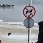 Šunų savininkų įžūlumas, nepaiso nei ženklų nei elementarios higienos