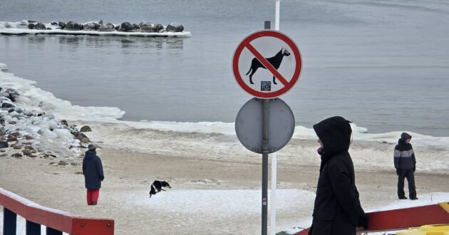 Šunų savininkų įžūlumas, nepaiso nei ženklų nei elementarios higienos