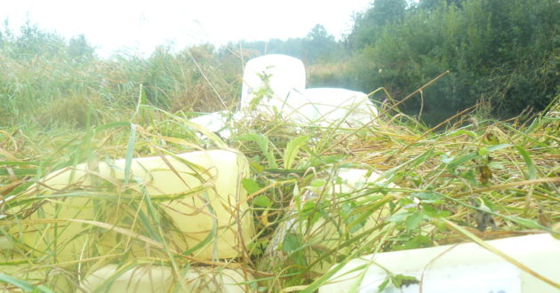 Ištuštėjusios Kauno rajono sodybos tampa sąvartynais tarai nuo herbicidų, o pakelėse verčiamos kitokios atliekos